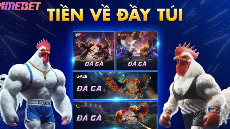 Các thể loại đá gà hấp dẫn tại Mebet