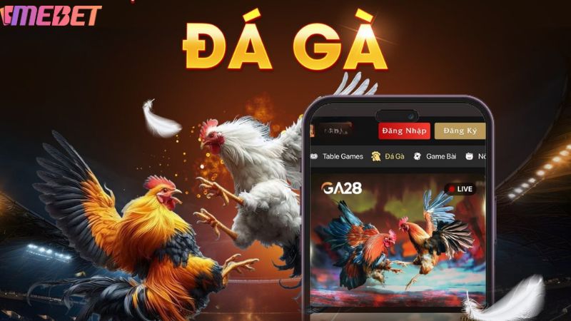 Ưu điểm của sảnh game Đá gà Mebet