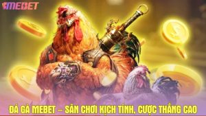 Đá gà Mebet – Sân chơi đá kê kịch tính, cược ít thắng cao